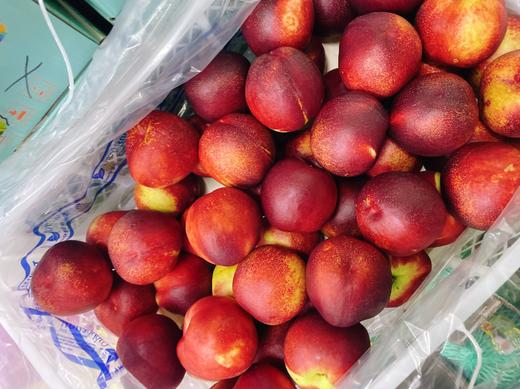 澳洲油桃2斤 商品图1