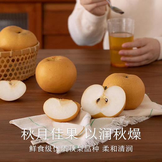 南食召 秋梨膏 商品图2