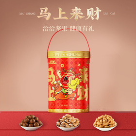 洽洽 马上来财坚果桶666g  严选品质坚果  佳节送礼  手提便捷式礼盒装  5天内发货