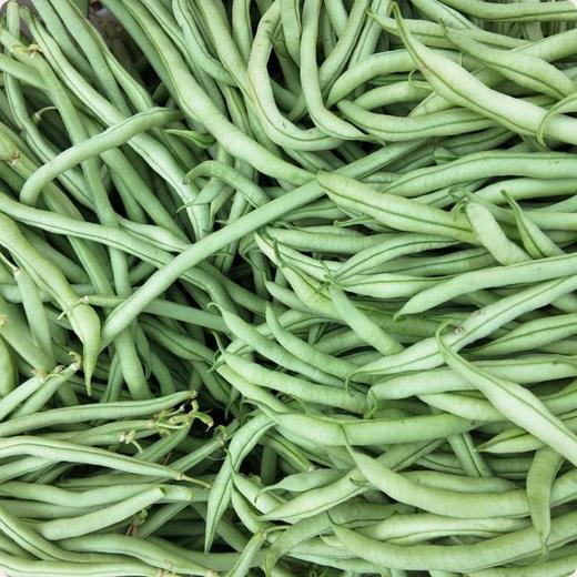 干热河谷露天种植有机四季豆3斤，下单后72小时左右发货 商品图1