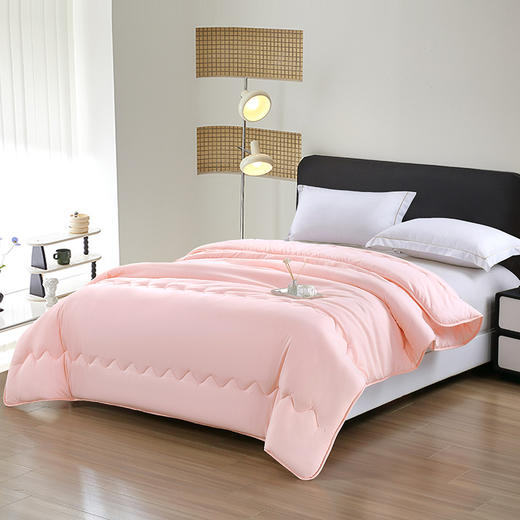 【多样屋专柜】雅鹿纳米抗菌被子200*230cm 2000g 商品图1