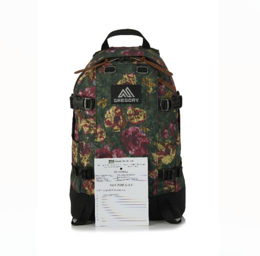 【2026员工内购】Gregory双肩包09J印花24L（Gregory请大家单独下单，独立仓库发货，不要和Samsonite和Lipault商品下一单，谢谢！） 商品图1