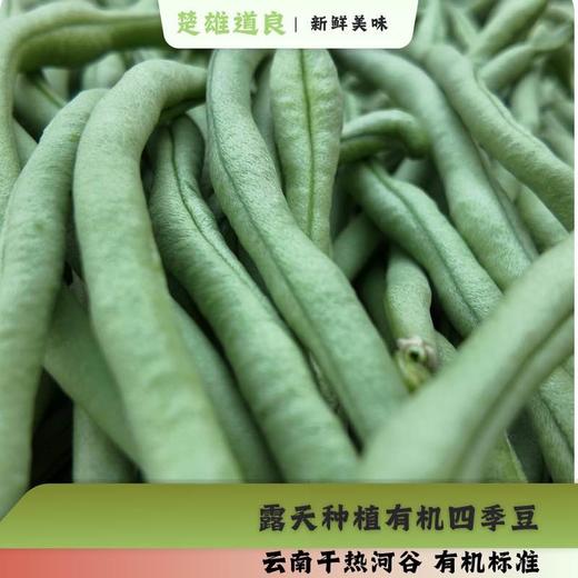 干热河谷露天种植有机四季豆3斤，下单后72小时左右发货 商品图3