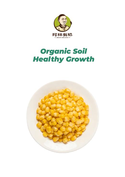 有机黄糯玉米粒 商品图0
