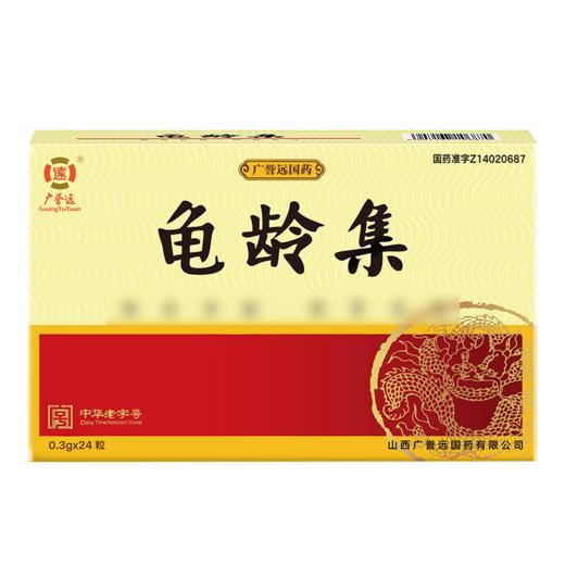 广誉远龟龄集24粒 商品图1