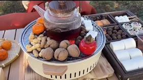 飞图乐（FTLY） 四合一分体式围炉 炭炉 WL0102 LP