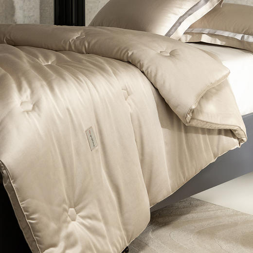 【多样屋专柜】多样屋碳护四季小黑被-金色/200*230cm 商品图2