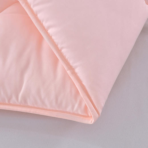 【多样屋专柜】雅鹿纳米抗菌被子200*230cm 2000g 商品图6