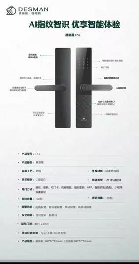 【到家服务】德施曼E55指纹密码锁【CS】