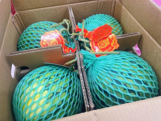 海南麒麟西瓜一个 商品图0