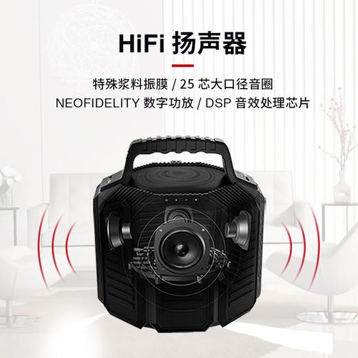 德国 RECKHORN 大功率超长续航防水户外便携怪兽HIFI蓝牙音箱 商品图2