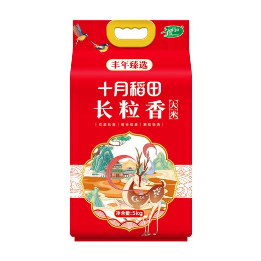十月稻田 丰年臻选长粒香大米5kg 商品图0
