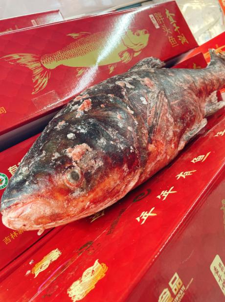 查干湖有机胖头鱼礼盒(10斤左右） 商品图2