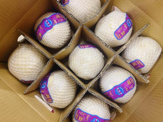 椰青2个 商品图0