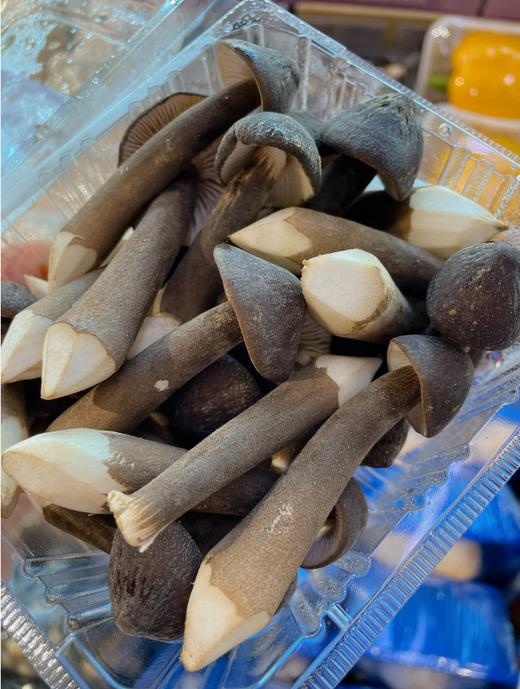 鸡枞菇2盒 商品图2