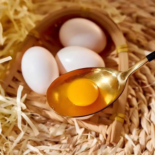 【年货节】鸽子蛋_30枚装礼盒 商品图1