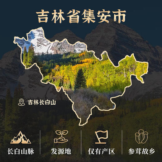 康美药业新开河大地红参切参150g 切段红参长白山人参 商品图2