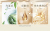 【YST618内购】养生堂焕亮莹润素颜身体乳 150g    买一送一 商品缩略图6