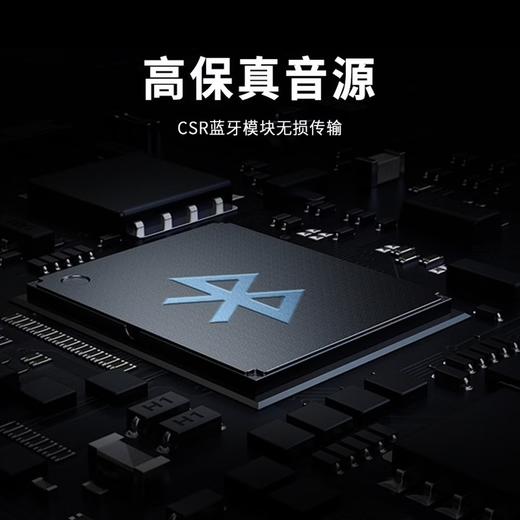 德国 RECKHORN 大功率超长续航防水户外便携怪兽HIFI蓝牙音箱 商品图4