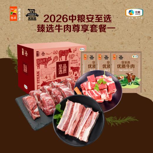 【分仓直发包邮】2026中粮安至选臻选牛肉尊享套餐一（生鲜冻品收到货后请及时放入冰箱储存，如在运输过程中有解冻属正常现象，并不影响品质，请放心食用） 商品图0