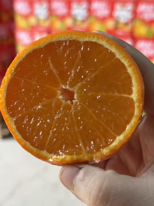 【严选】【晚冬趣果】正宗四川特产爱媛38号果冻橙新鲜水果甜柑橘橙子蜜桔 4.5斤/8斤 （厂家直发） 商品图3