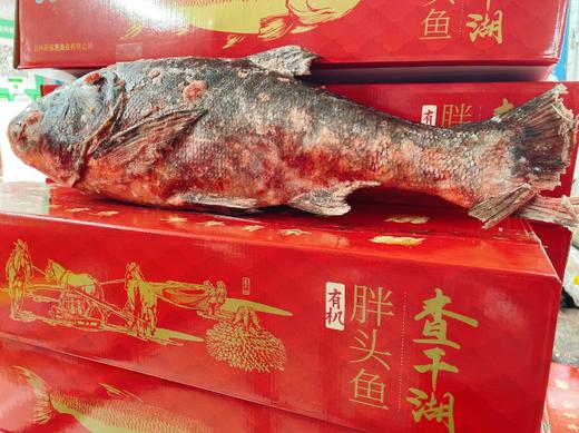 查干湖有机胖头鱼礼盒(10斤左右） 商品图1