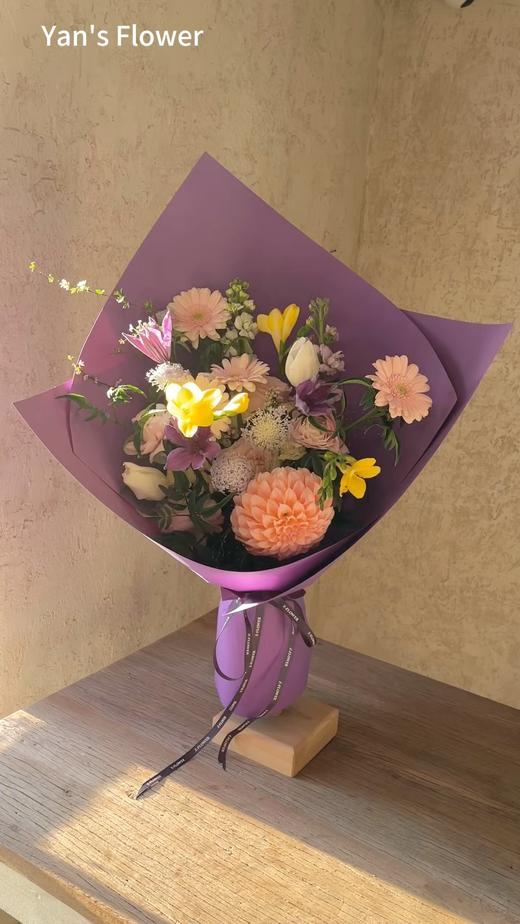 爱乐之城 商品图0