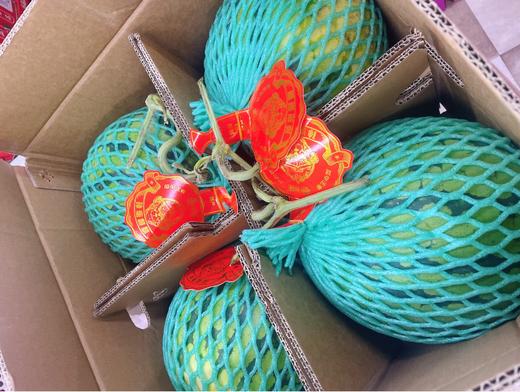 海南麒麟西瓜一个 商品图1