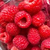 新鲜红树莓/125克BN 商品缩略图2