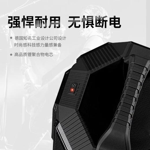德国 RECKHORN 大功率超长续航防水户外便携怪兽HIFI蓝牙音箱 商品图3