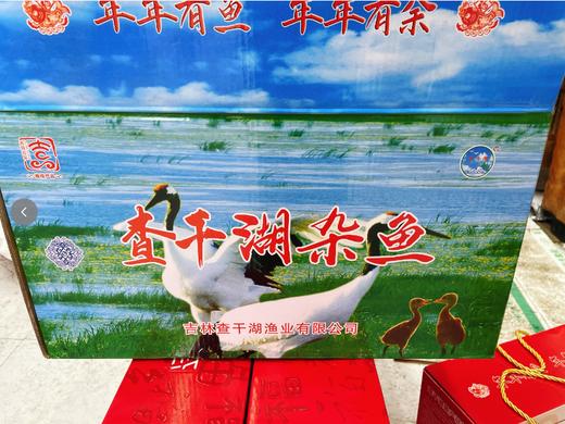 查干湖杂鱼一箱（15斤左右） 商品图0