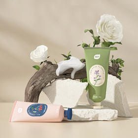 【分仓直发包邮】植护香型舒润护手霜（樱桃黑森林/东方马鞭草）50g/支