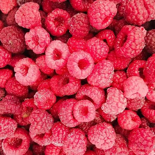 新鲜红树莓/125克BN 商品图1