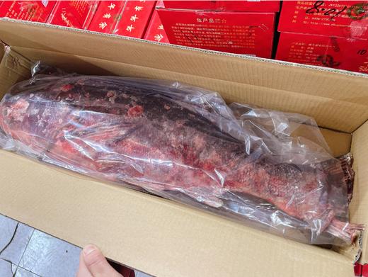 查干湖有机胖头鱼礼盒(10斤左右） 商品图3