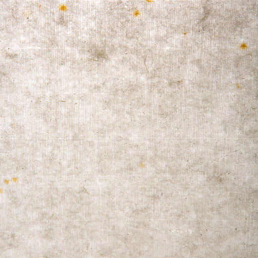 清末民国上海九华堂厚记制“煮硾笺”（一张） 商品图11