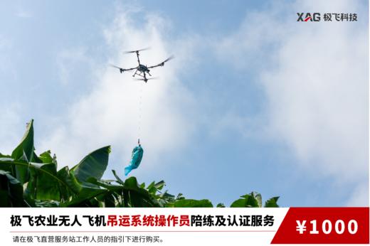极飞农业无人飞机吊运系统操作员陪练及认证服务 商品图0