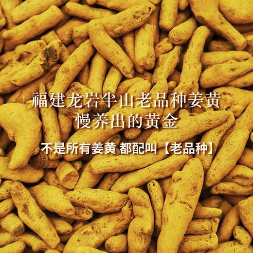 姜黄植物奶【升级版】 3秒快速冲泡高效配比高吸收  告别手脚冰冷姨妈期体弱阳虚 早餐代餐工作族 姜黄冲泡饮 510g/桶 商品图1
