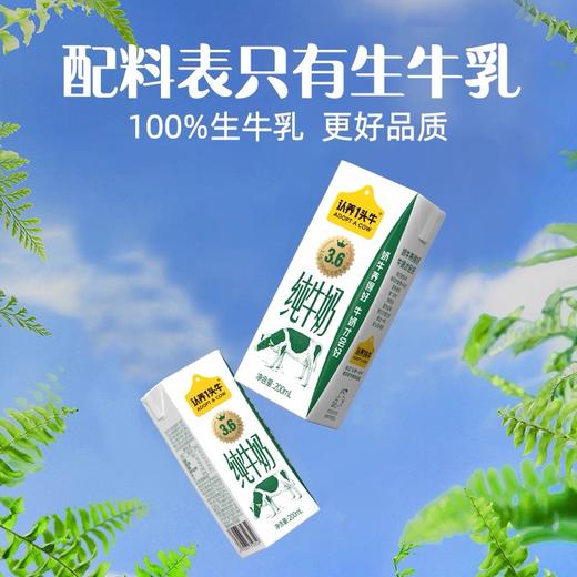 【整提】认养一头牛高钙3.6g蛋白纯牛奶200ml*12 商品图1