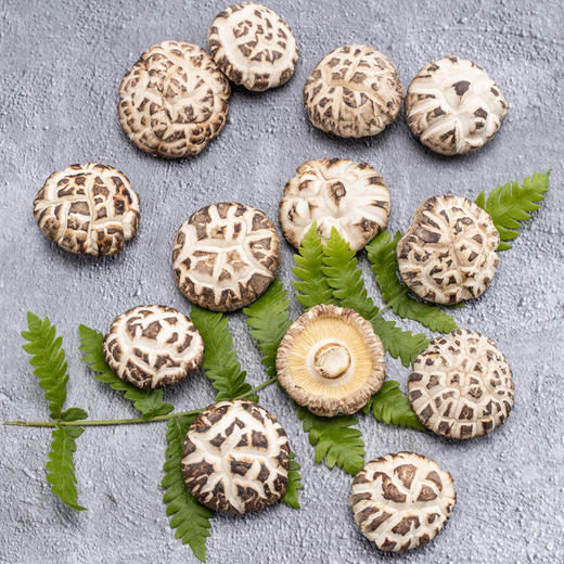 沈阳农业大学食用菌研究所&印象沈农联合出品 秋木耳、玉木耳、花香菇头、滑子蘑 商品图11