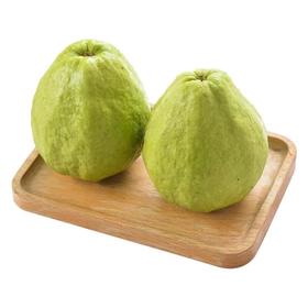 都乐红心芭乐两粒 300g/份
