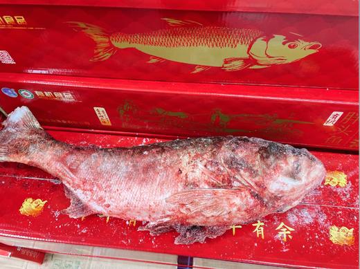 查干湖有机胖头鱼礼盒(5-6斤） 商品图0