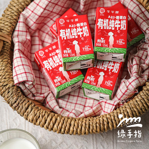 有机纯牛奶（学生奶，临期7折）| 公平贸易*Organic  milk | Fair-trade 商品图3