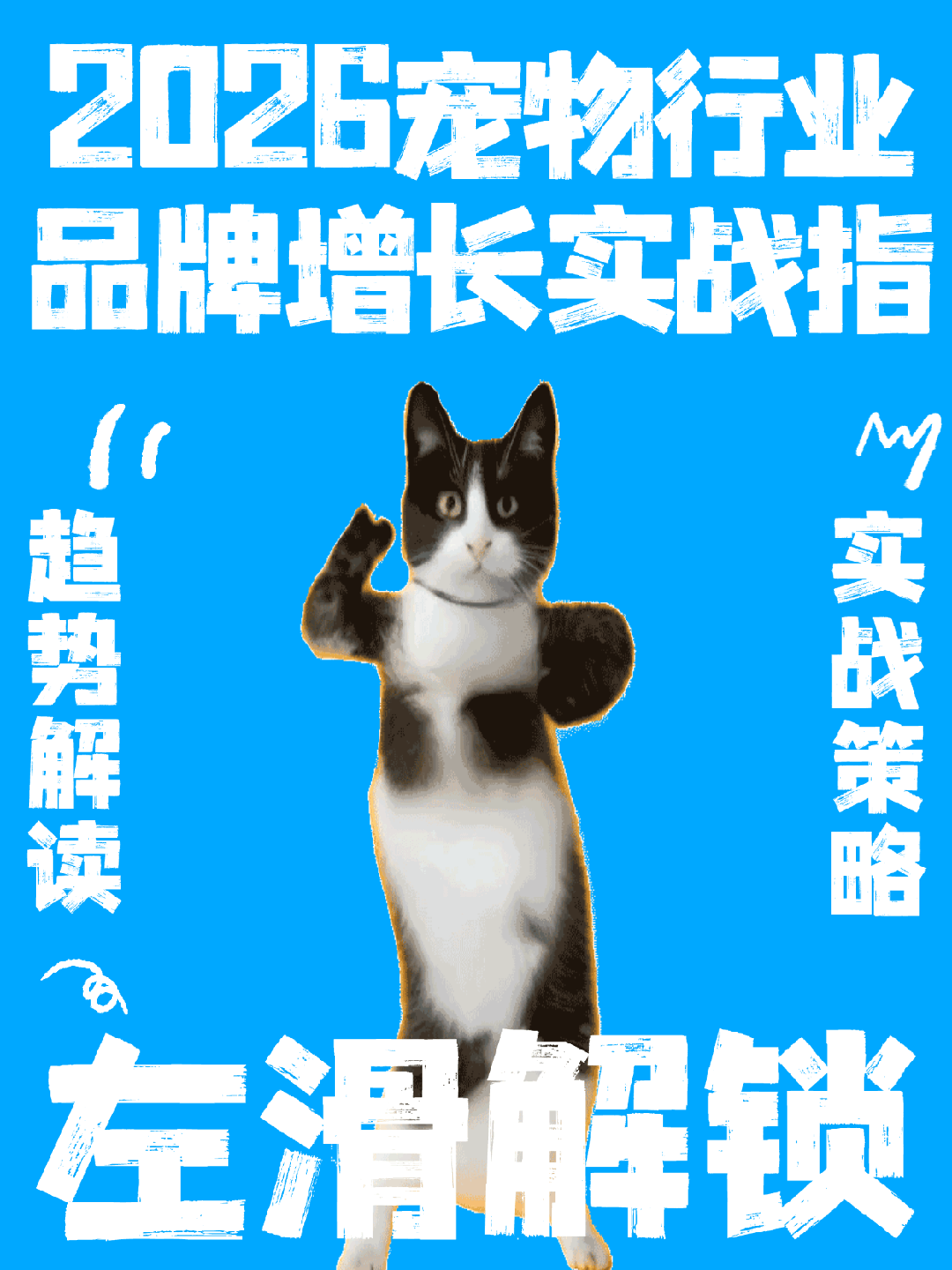宠物行业品牌怎么抓住2026红利？增长策略全解