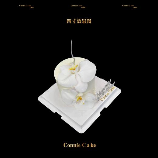 兰韵雅致蝴蝶兰奶油蛋糕 商品图1