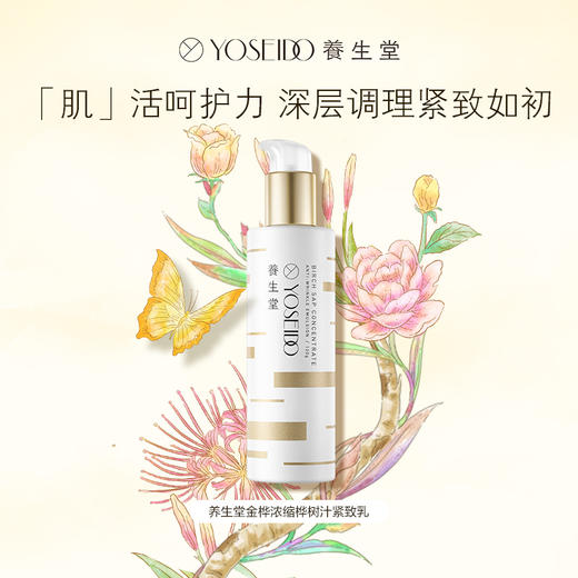 【员工内购】养生堂金桦浓缩桦树汁紧致乳120g 减淡细纹抗皱温和补水修护不粘腻 商品图1
