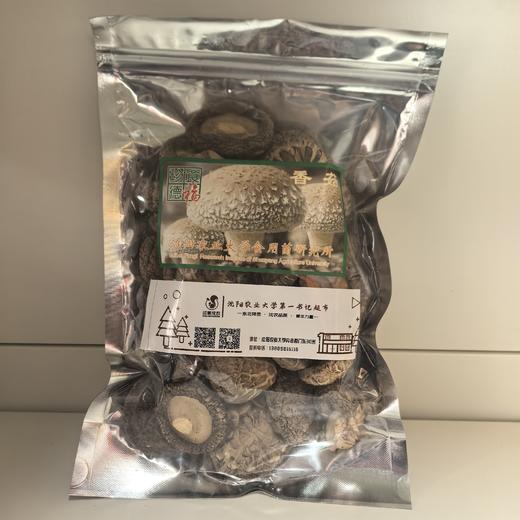 沈阳农业大学食用菌研究所&印象沈农联合出品 秋木耳、玉木耳、花香菇头、滑子蘑 商品图4