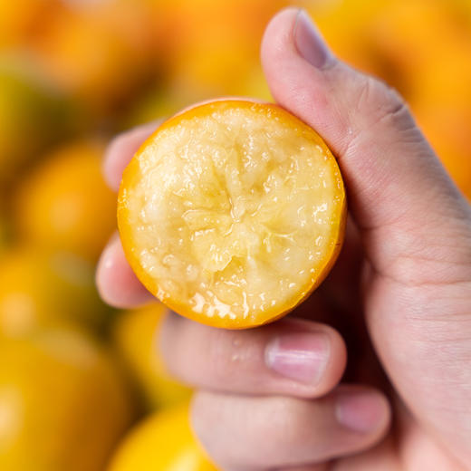 【融安】脆蜜金桔 商品图2