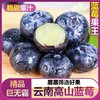 云南高山蓝莓/125克【BN】 商品缩略图1