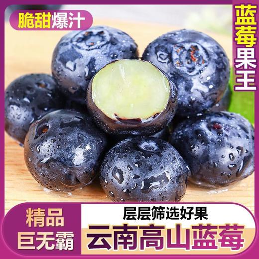 云南高山蓝莓/125克【BN】 商品图1