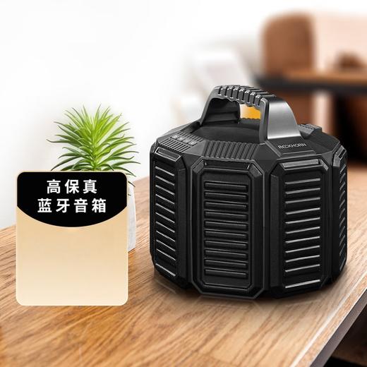 德国 RECKHORN 大功率超长续航防水户外便携怪兽HIFI蓝牙音箱 商品图0